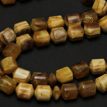 سبحة من ظهر سلحفاة برية (ترسة) 48 خرزة صندوقي