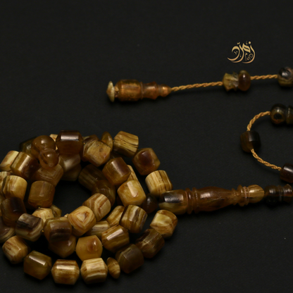 سبحة من ظهر سلحفاة برية (ترسة) 48 خرزة صندوقي