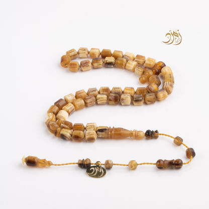 سبحة من ظهر سلحفاة برية (ترسة) 48 خرزة صندوقي