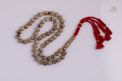 سبحة كهرمان سومطري طبيعي 55 خرزة دائري